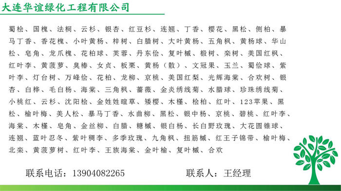 綠化樹(shù)苗種類(lèi)1.jpg